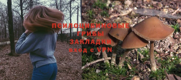 хмурый Алексин