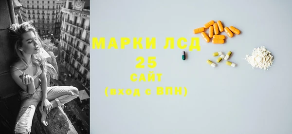 хмурый Алексин