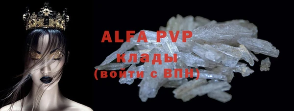 хмурый Алексин