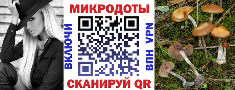 blacksprut зеркало  Сарапул  Псилоцибиновые грибы мухоморы 