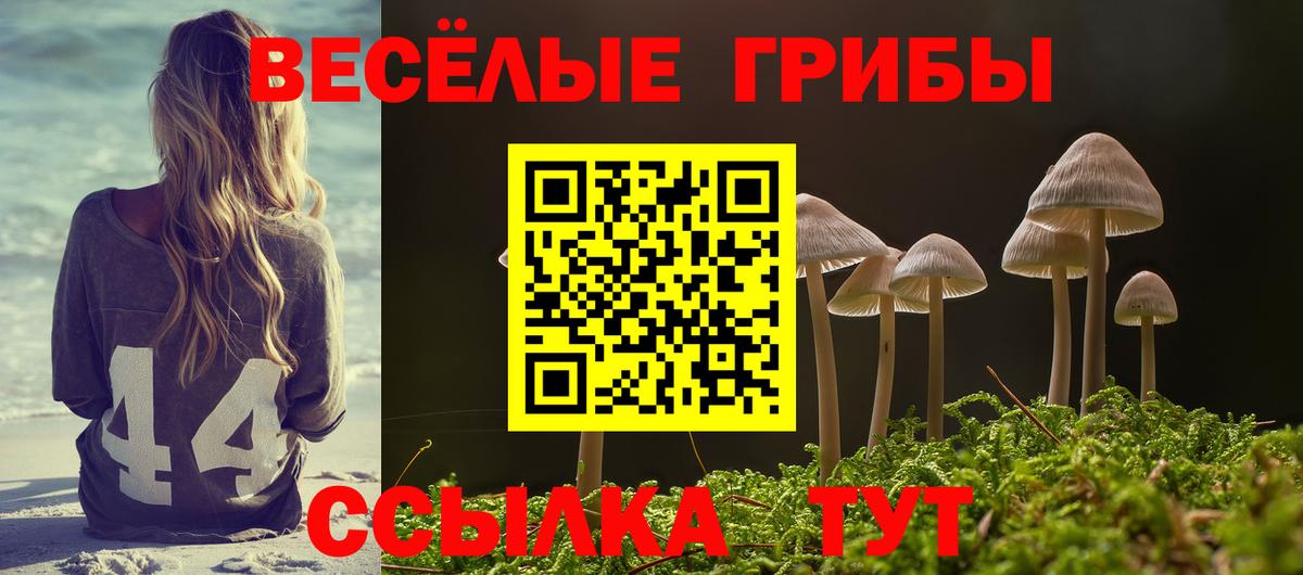 Галлюциногенные грибы мухоморы  Вход с VPN  Сарапул  Псилоцибиновые грибы Cubensis 