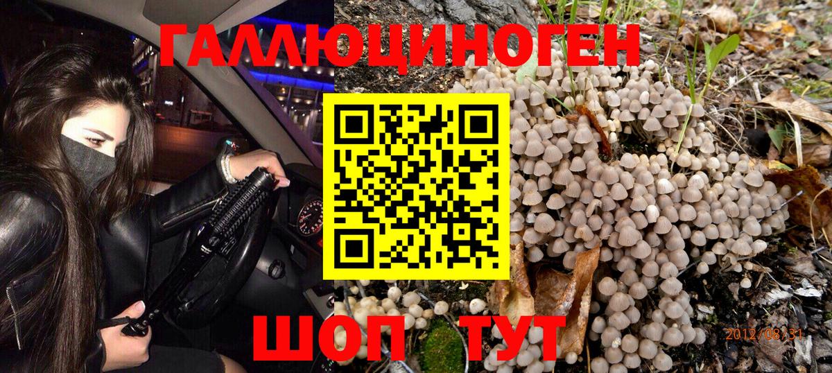 Галлюциногенные грибы GOLDEN TEACHER Сарапул